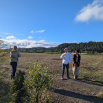 PXL_20251015_160841376.MP_