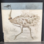 ostrich